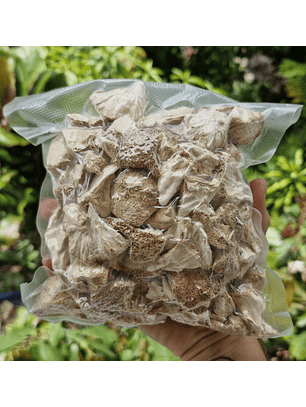 melena de león deshidratado