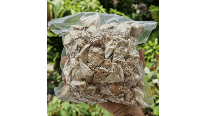 melena de león deshidratado 1