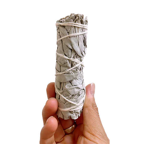 Salvia Blanca