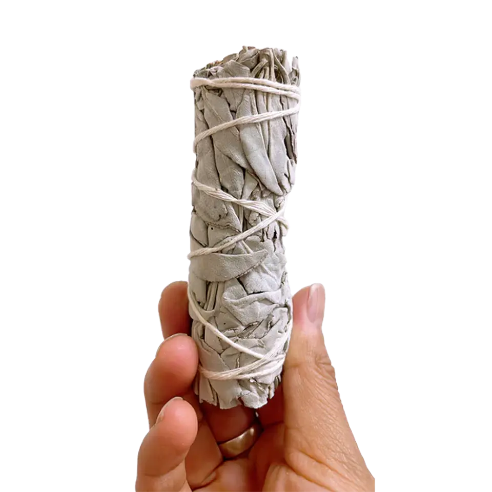 Salvia Blanca 2