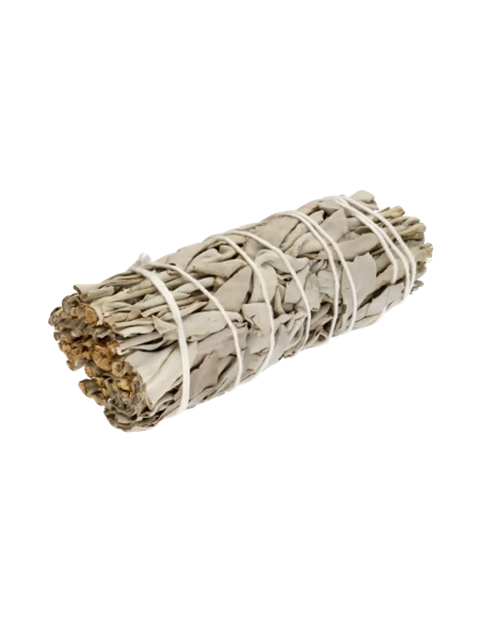 Salvia Blanca 1