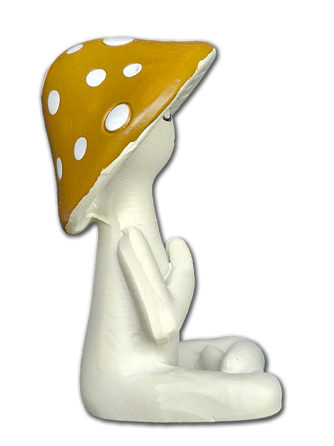 hongo meditando