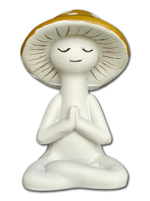 hongo meditando