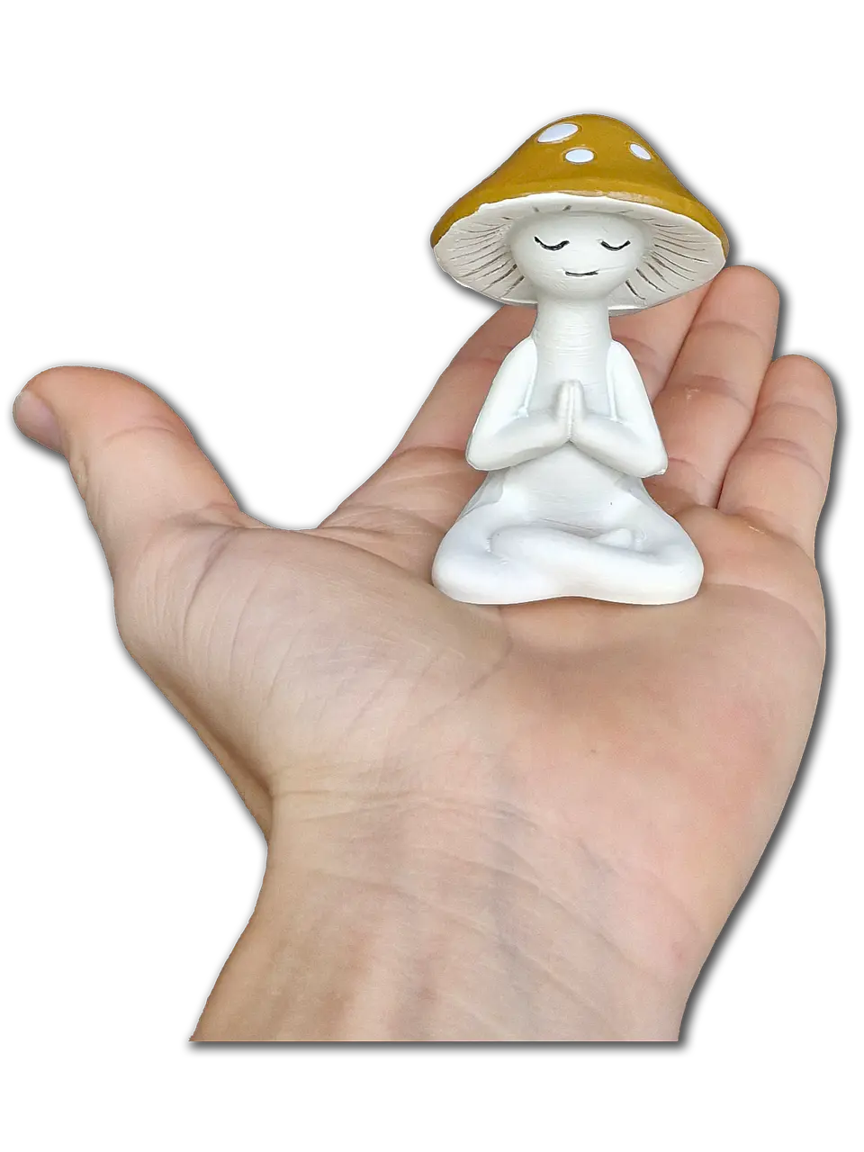hongo meditando 4