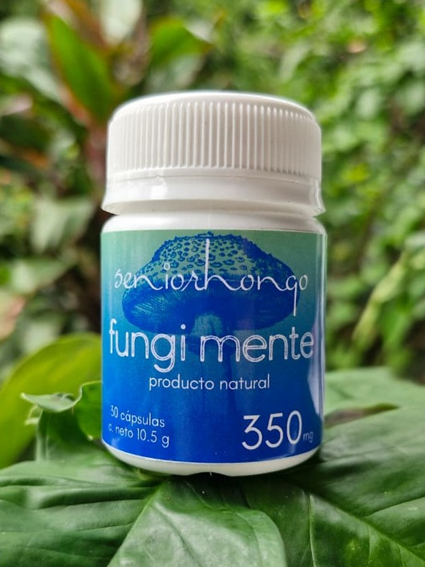 fungi mente cápsulas microdosis 1