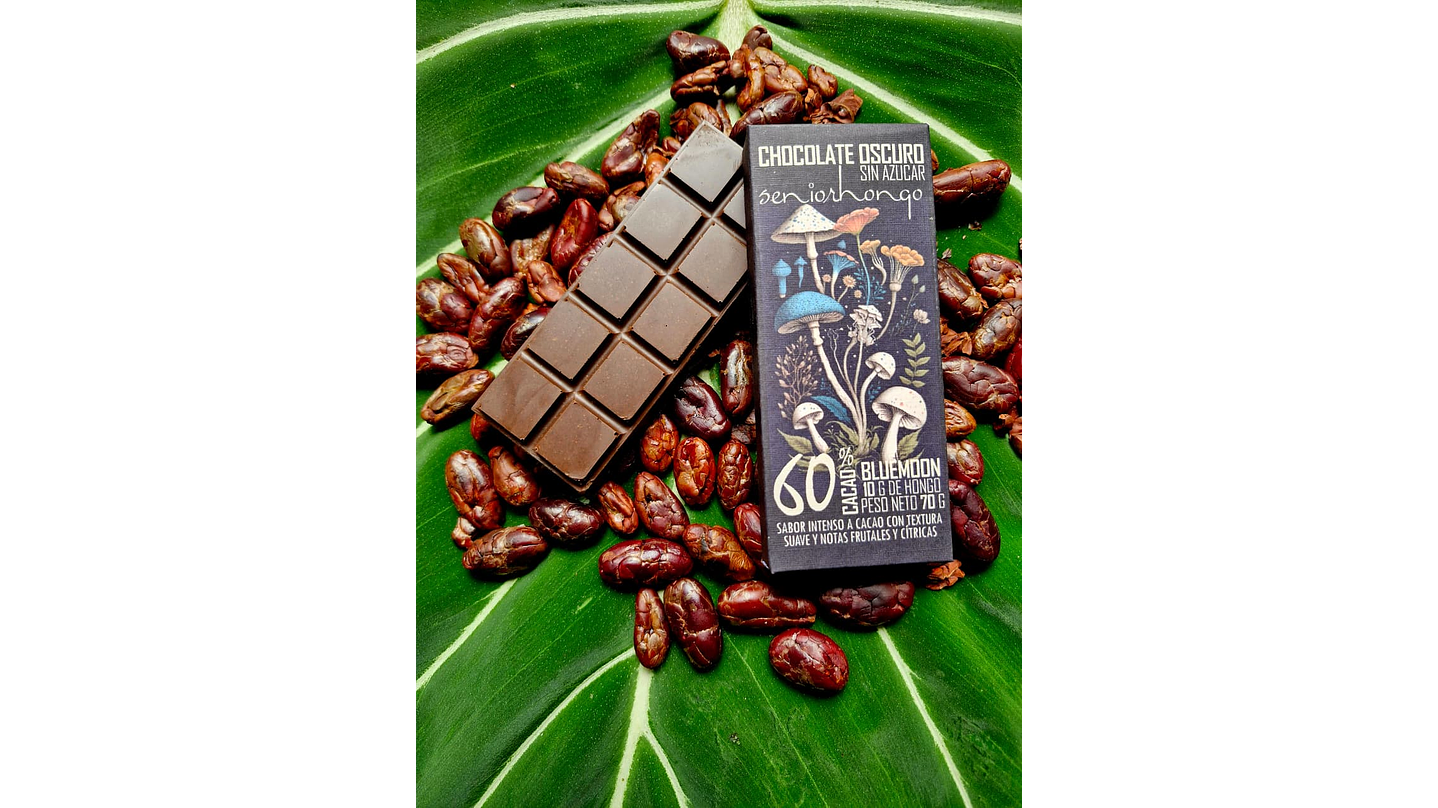 fungimente chocolate  4