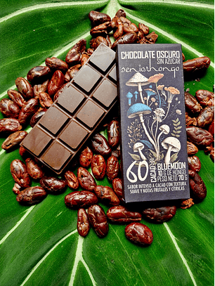 fungi mente chocolate 