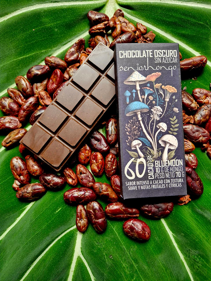 fungi mente chocolate  1