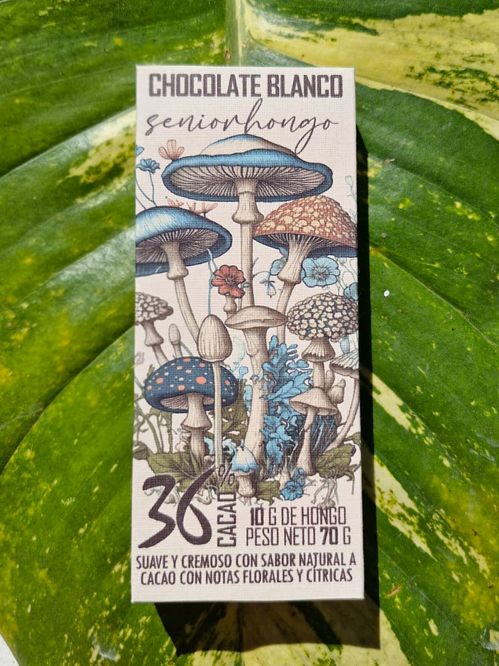 fungi mente chocolate  5