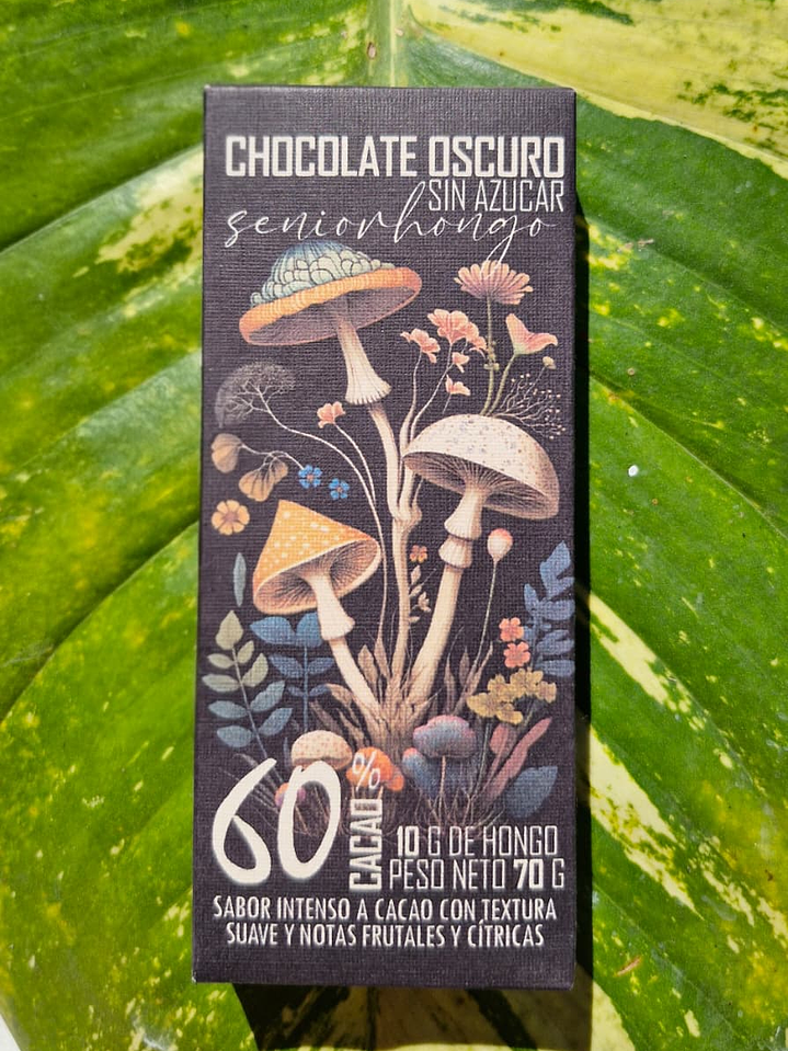 fungi mente chocolate  7