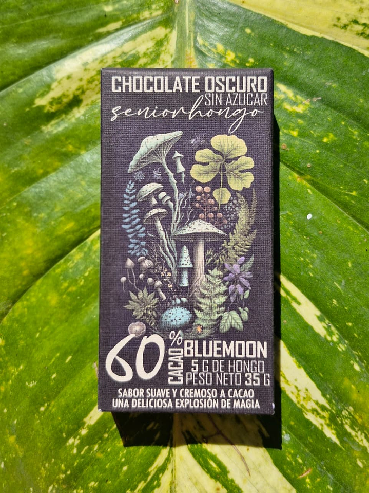 fungi mente chocolate  8