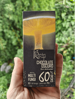 multi fungi chocolate