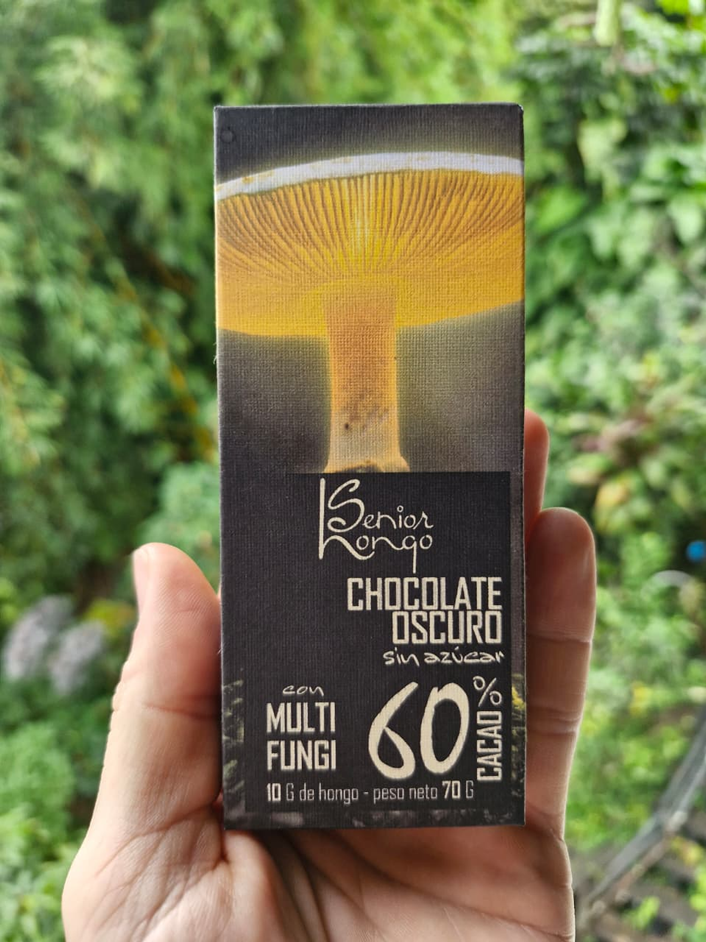 multi fungi chocolate 1