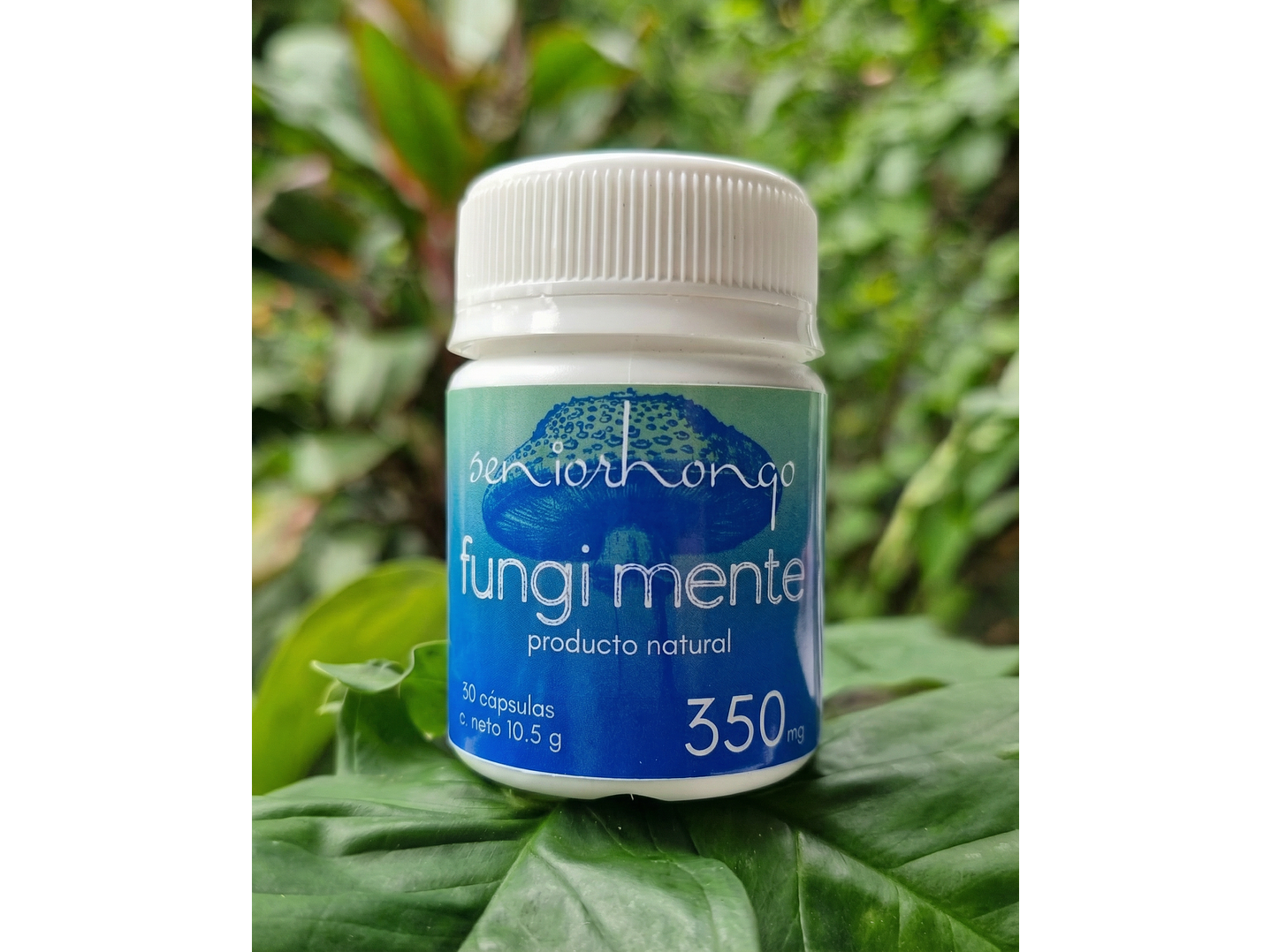 FungiMente Microdosis - Claridad, enfoque y presencia 1