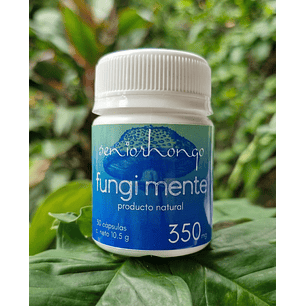 FungiMente - Claridad, enfoque y presencia mental