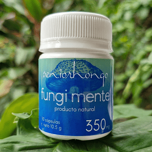 FungiMente - Claridad, enfoque y presencia mental