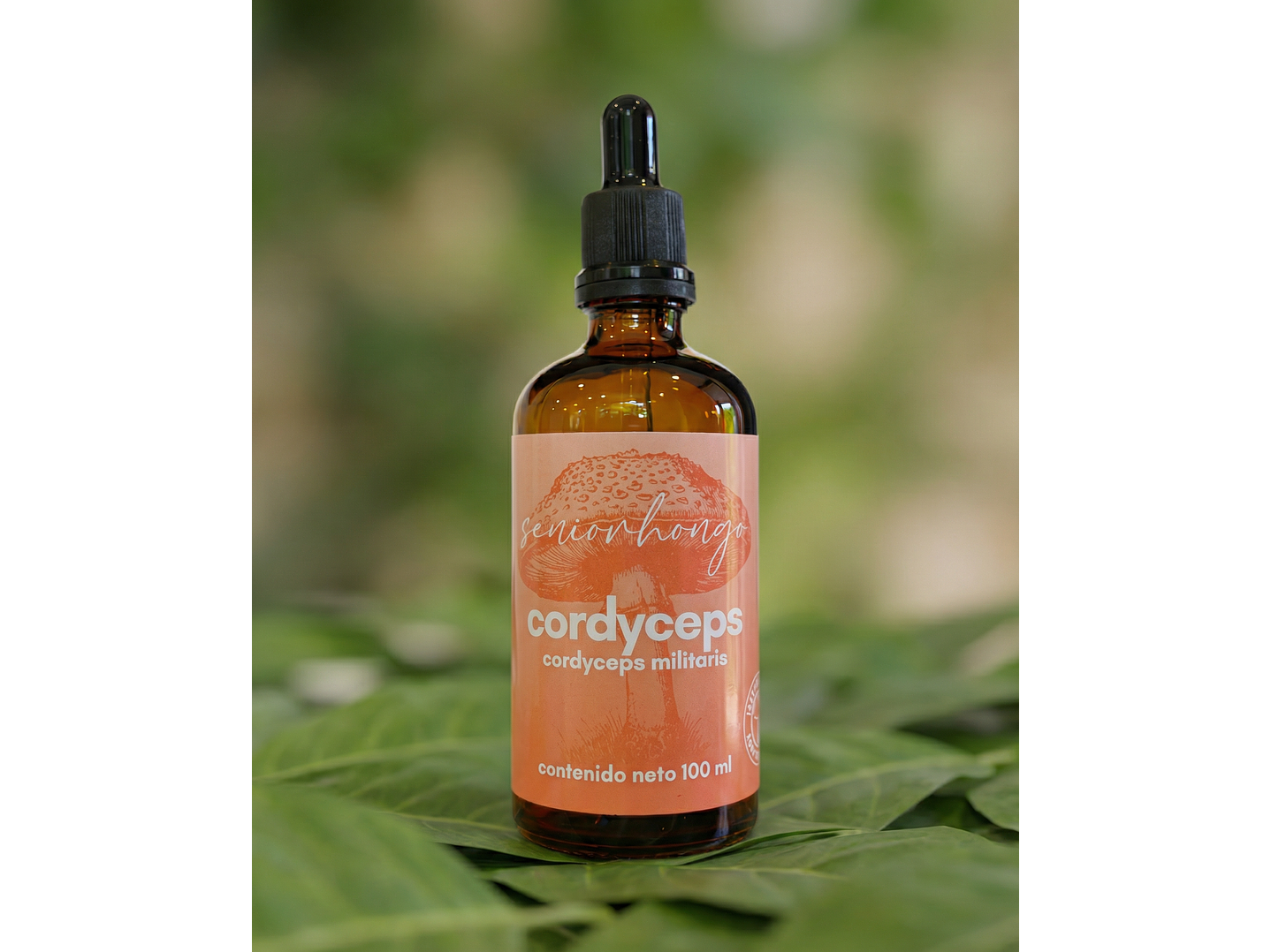 Cordyceps - Energía natural 4