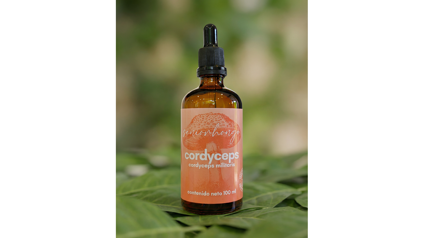 Cordyceps - Energía natural para tu ritmo diario 4