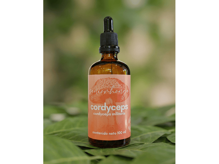 Cordyceps - Energía natural 4