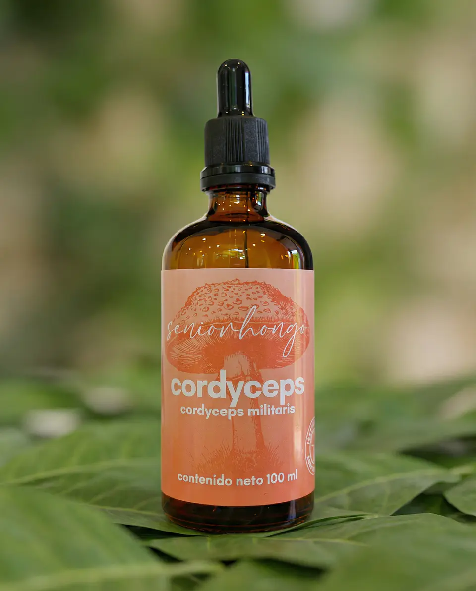 Cordyceps - Energía natural 4