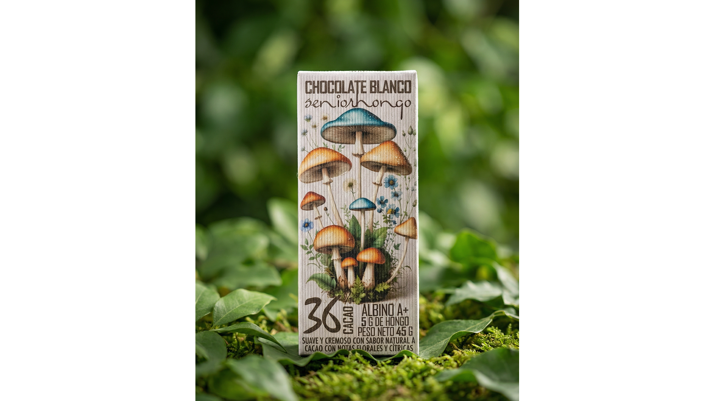 fungimente chocolate  2