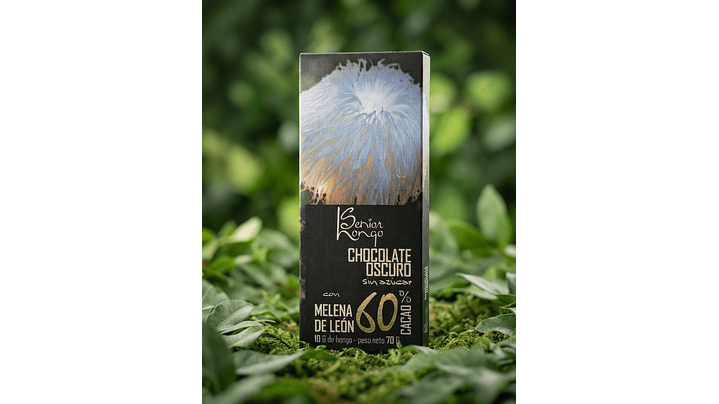 Chocolate con Melena de León - Ritual consciente para una mente despierta 1