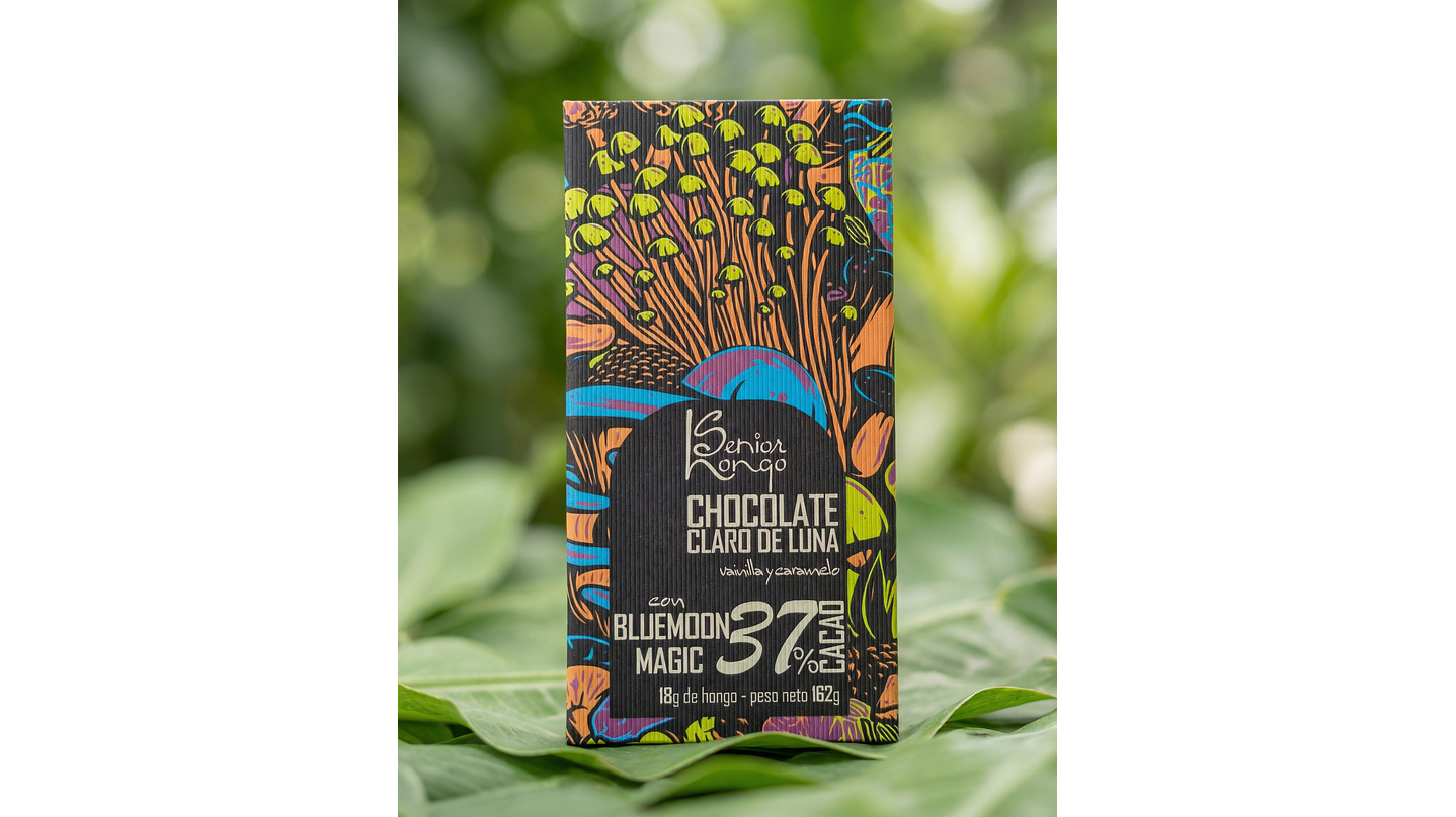 fungimente chocolate  1