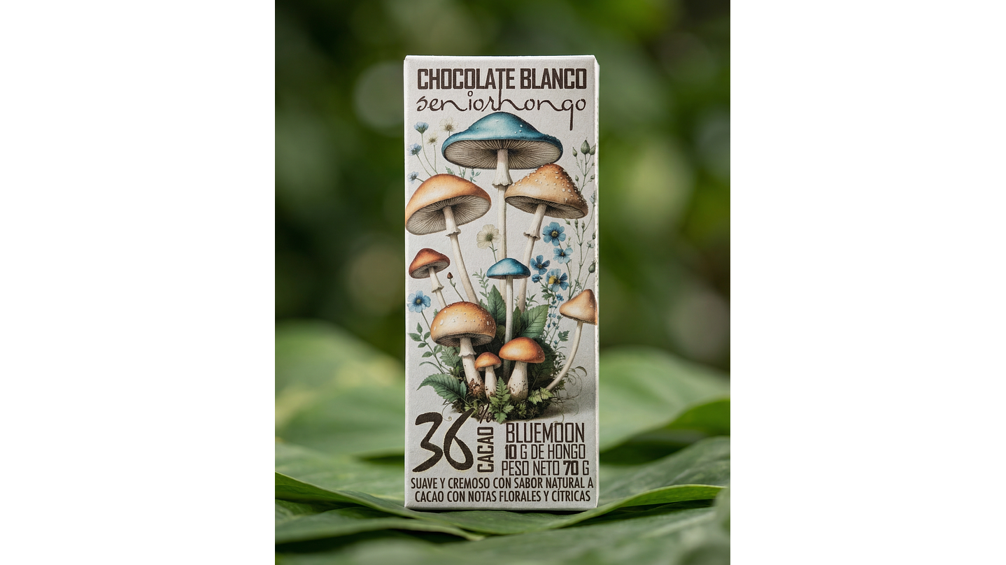fungimente chocolate  7