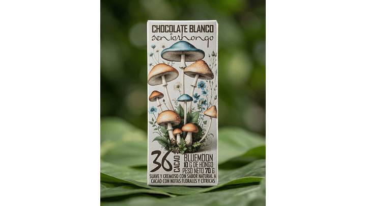 fungimente chocolate  7