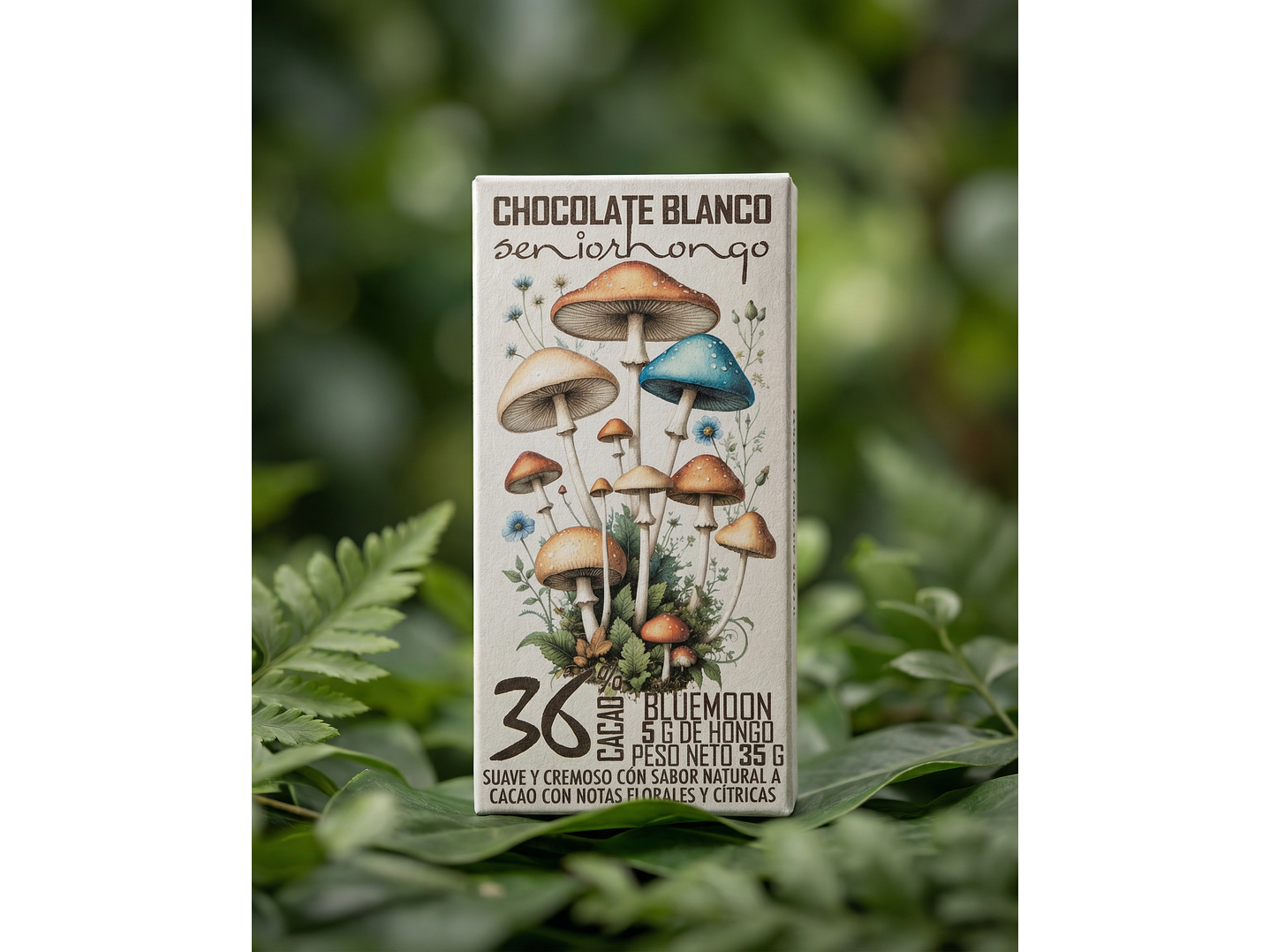 FungiMente Chocolate - Descubre nuevas dimensiones 7