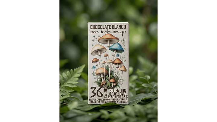 fungimente chocolate  8