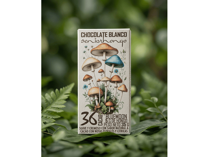 FungiMente Chocolate - Descubre nuevas dimensiones 7