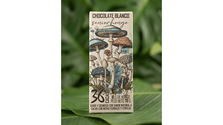 fungimente chocolate  10