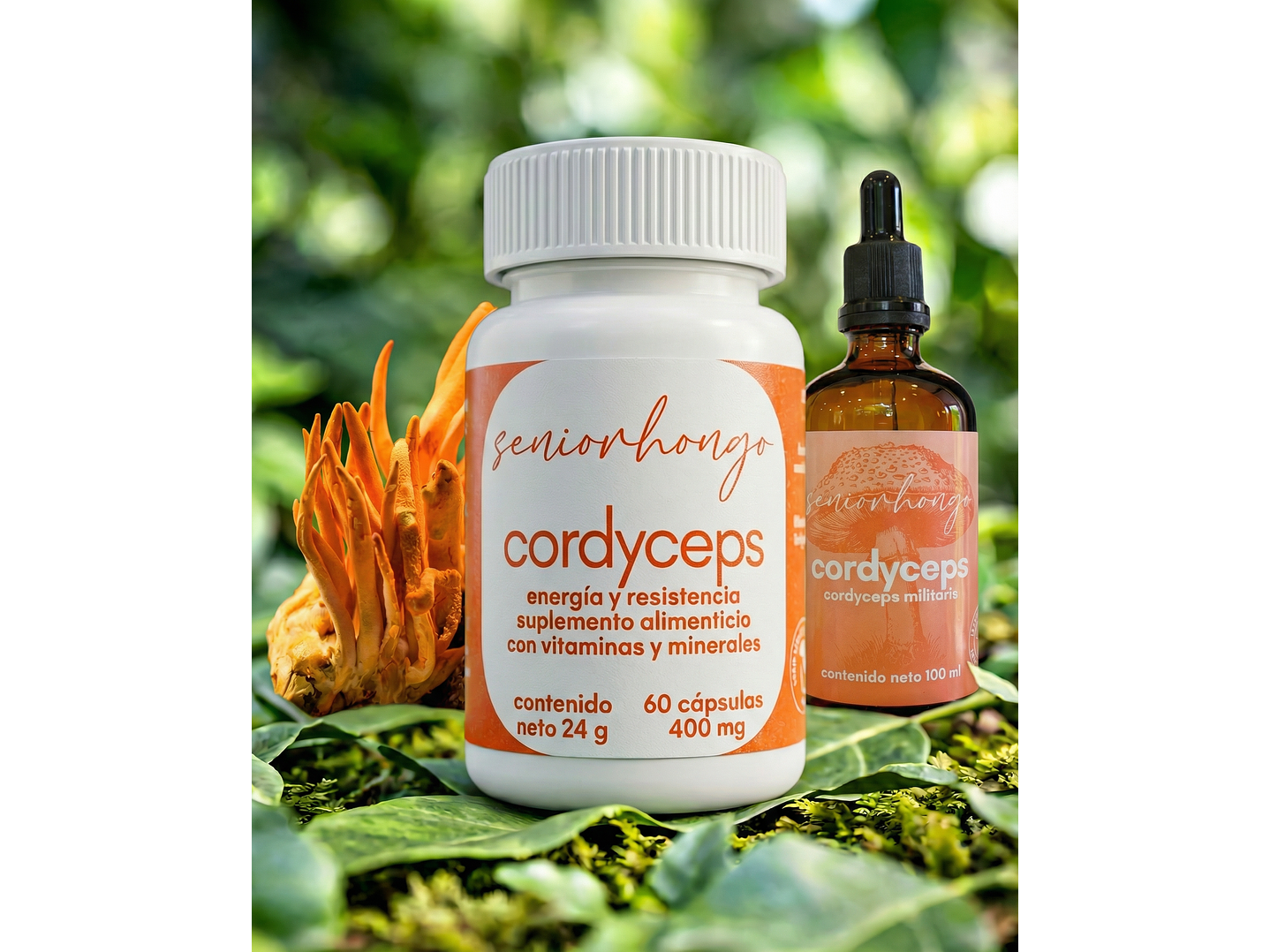 Cordyceps - Energía natural 1