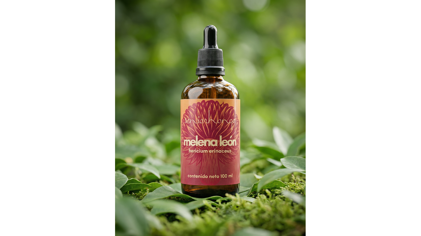 Melena de León - Claridad mental y enfoque consciente 2