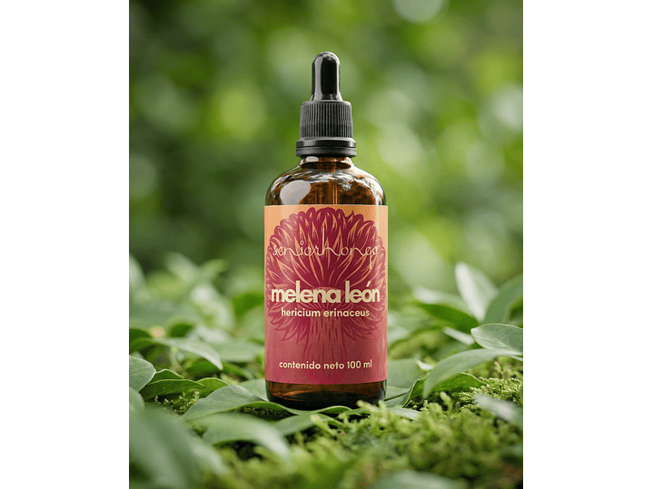 Melena de León - Claridad mental y enfoque 4