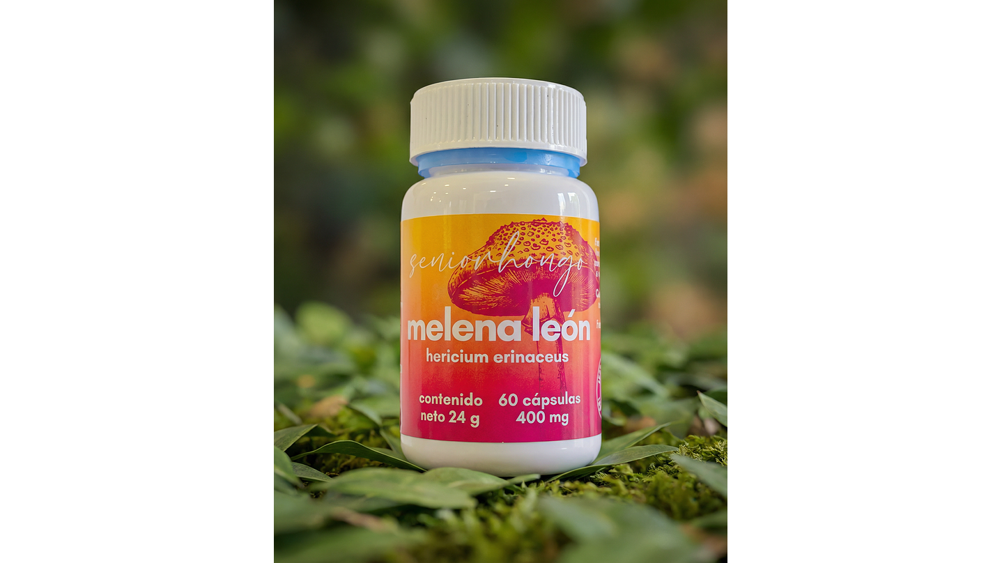 Melena de León - Claridad mental y enfoque consciente 3