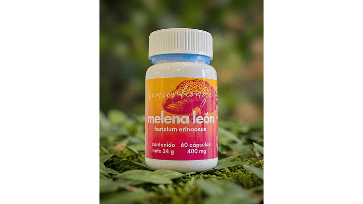 Melena de León - Claridad mental y enfoque consciente 3