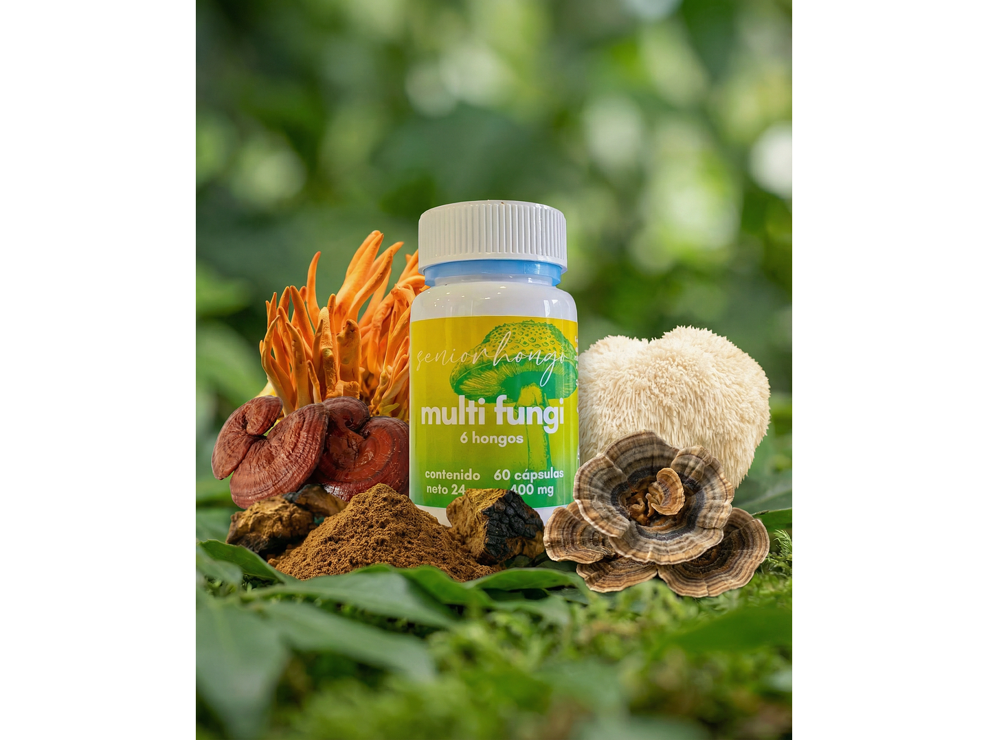 MultiFungi - Bienestar integral en una sola fórmula 1