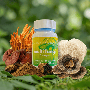 MultiFungi - Bienestar integral en una sola fórmula