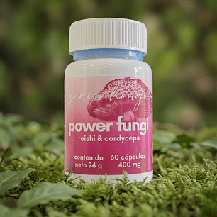 power fungi cápsulas