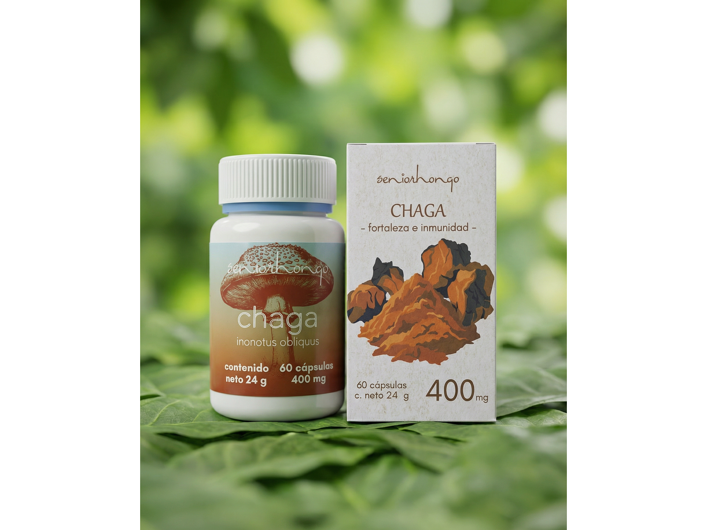 Chaga - Fortaleza e Inmunidad 1