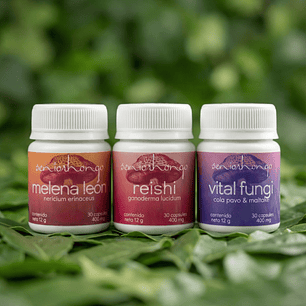 Starter Pack x3 Hongos Funcionales (30 caps c/u)
