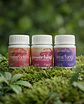 Pack x3 Hongos Funcionales (30 caps c/u) - Miniatura 3
