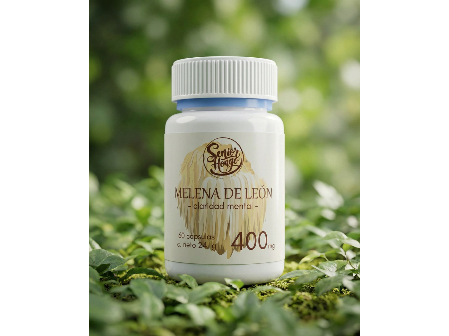 Melena de León - Claridad mental y enfoque 2