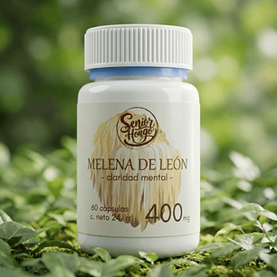 Melena de León - Claridad mental y enfoque