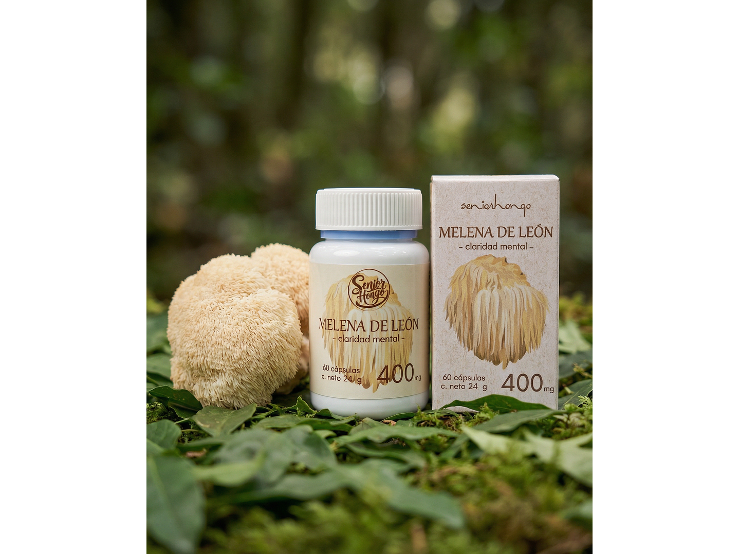 Melena de León - Claridad mental y enfoque 1