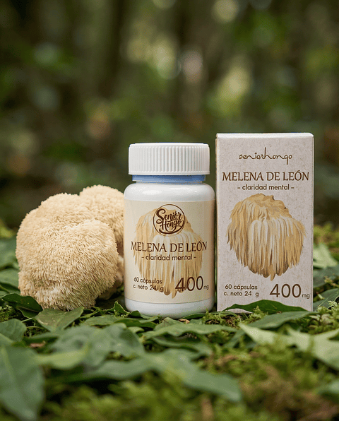 Melena de León 400 mg – 60 Cápsulas