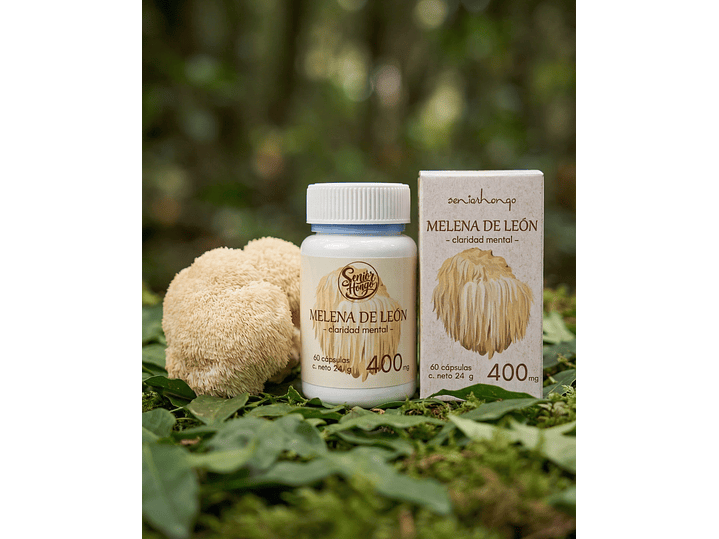 Melena de León - Claridad mental y enfoque 1