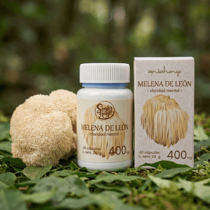 Melena de León - Claridad mental y enfoque